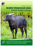 Sulawesi Tengah Dalam Angka 2013